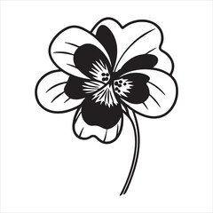 Nemesia Flower – Bright and Colorful Blossoms for Garden Beauty and Floral Design