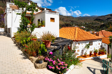 Fototapeta premium Canarian village life with white houses, red tile roofs, and Mediterranean vegetation in Fatama, Gran Canaria