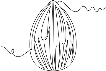 one line art Almond vector illustration. line art, one continuous line, simple, hand drawn and sketch style. for icons, symbols, signs or logos. PNG