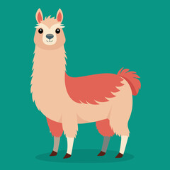 cute cartoon llama vector