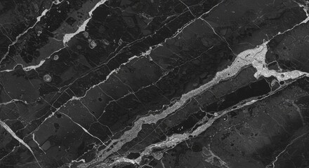 Sophisticated dark marble texture with contrasting light veins providing a luxurious feel