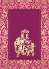 Elephant, festival , Jaipur, Royal Rajasthan, India, Asia	