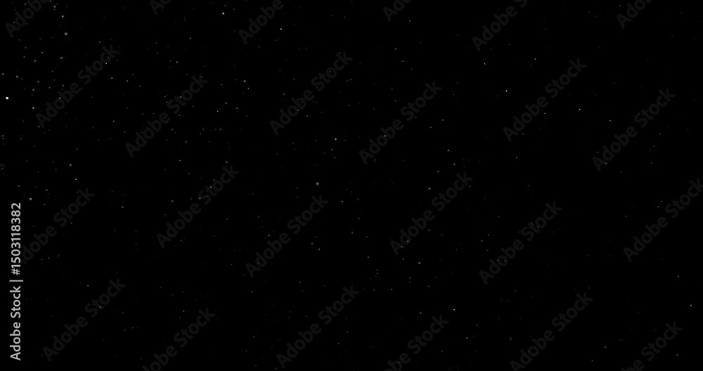 Wall mural natural organic dust particles floating on black background. dynamic dust particles randomly float i