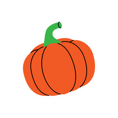 Raw pumpkin. Fresh organic vegetable. Vector illustration