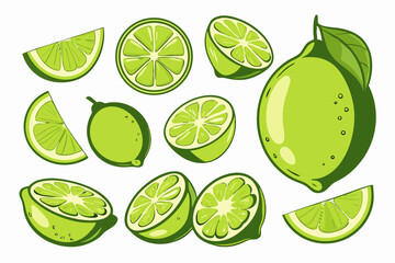 Limes: Whole, Halved, & Sliced - Lime Fruit Illustration