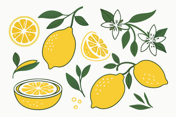Lemons, Lemon slices, Flowers, Leaves, Citrus Fruit, Illustration, Graphic Design Elements