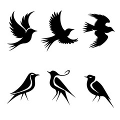 Collection of six unique bird silhouettes in various poses, including perched and flying forms, rendered in black on white, showcasing avian diversity and graphic elegance.