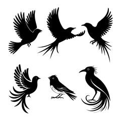 Collection of six unique bird silhouettes in various poses, including perched and flying forms, rendered in black on white, showcasing avian diversity and graphic elegance.