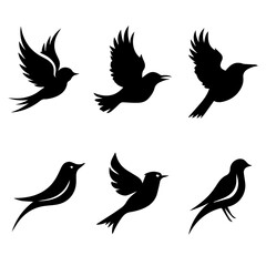 Collection of six unique bird silhouettes in various poses, including perched and flying forms, rendered in black on white, showcasing avian diversity and graphic elegance.
