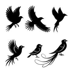 Collection of six unique bird silhouettes in various poses, including perched and flying forms, rendered in black on white, showcasing avian diversity and graphic elegance.