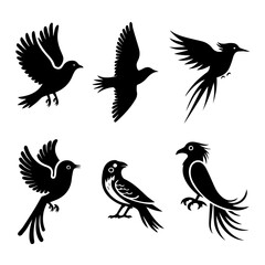 Collection of six unique bird silhouettes in various poses, including perched and flying forms, rendered in black on white, showcasing avian diversity and graphic elegance.