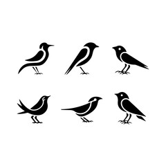 Collection of six unique bird silhouettes in various poses, including perched and flying forms, rendered in black on white, showcasing avian diversity and graphic elegance.