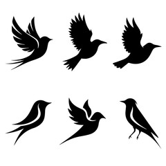 Collection of six unique bird silhouettes in various poses, including perched and flying forms, rendered in black on white, showcasing avian diversity and graphic elegance.