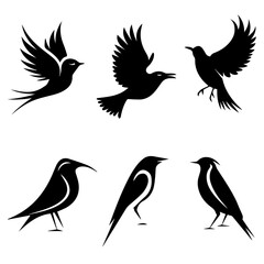 Collection of six unique bird silhouettes in various poses, including perched and flying forms, rendered in black on white, showcasing avian diversity and graphic elegance.