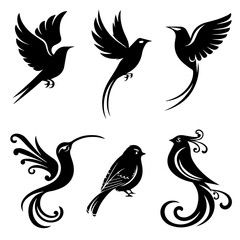 Collection of six unique bird silhouettes in various poses, including perched and flying forms, rendered in black on white, showcasing avian diversity and graphic elegance.