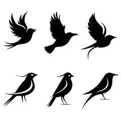 Collection of six unique bird silhouettes in various poses, including perched and flying forms, rendered in black on white, showcasing avian diversity and graphic elegance.