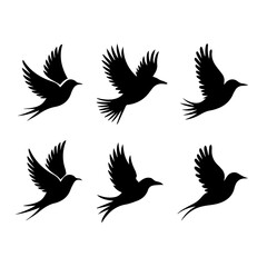 Collection of six unique bird silhouettes in various poses, including perched and flying forms, rendered in black on white, showcasing avian diversity and graphic elegance.
