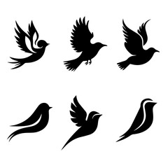 Collection of six unique bird silhouettes in various poses, including perched and flying forms, rendered in black on white, showcasing avian diversity and graphic elegance.