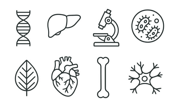 Line style icons of biology: DNA strand, human organ icon, microscope cell, bacteria icon, plant leaf structure, heart anatomy, bone skeleton, neuron network.