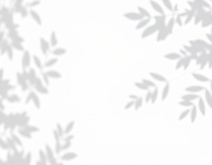 Delicate leaf shadows cast on a clean white surface creating a soft ethereal effect (2)