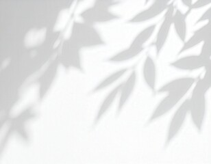 Obraz premium Delicate leaf shadows cast on a white wall creating a soft ethereal and minimalist scene