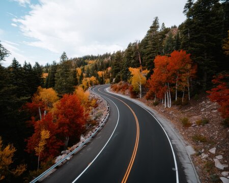 Winding road through autumn colors scenic landscape nature photography forest environment aerial view seasonal beauty