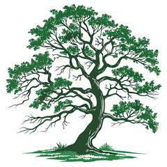 Highly Detailed Vector Illustration of a Majestic Tree with Intricate Branches and Lush Foliage

