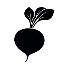 radish vector illustration 