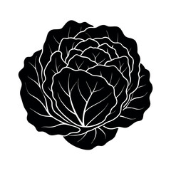 savoy cabbage vector silhouette