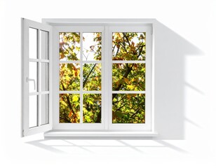 Open Window Framing Autumnal Trees with Sunlight Filtering Through Leaves