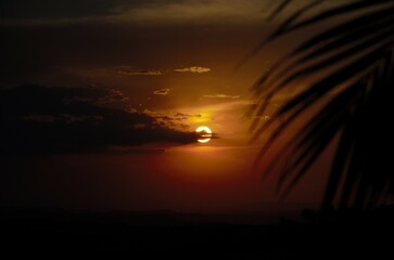 A golden sun sets behind distant clouds, with a palm leaf silhouette in the foreground, creating a tropical and moody atmosphere