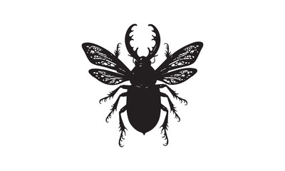 Beetle Vector Art