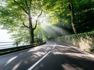 Obraz premium Scenic drive through sunlit forest serene road nature photography lush environment tranquil viewpoint peaceful journey