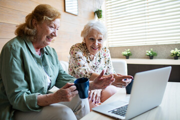 Senior lesbian couple video chatting on laptop at home