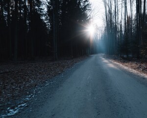 Obraz premium Sunlit pathway through a tranquil forest serene trail nature scene morning light captured perspective