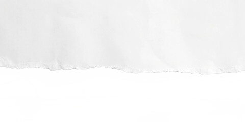 paper, torn, white, texture, background, ripped, isolated, transparent, blank, edge, empty, sheet, tear, ripped paper, copy space, note, frame, border, scrap, ripped edge, rough, paper texture, old, d