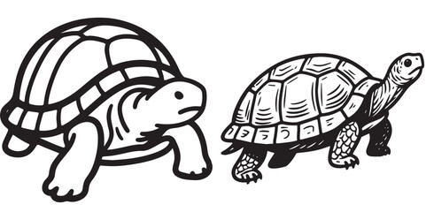 Two black-and-white vector graphic designs show stylized turtles, one solid and the other in outline. 