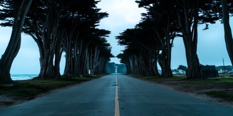 Naklejka premium Serene coastal drive through cypress trees california landscape photography tranquil environment wide angle view nature's beauty