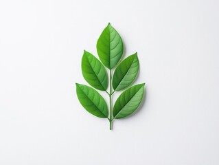 Obraz premium Abstract minimalist leaf icon on white background, symbolizing green marketing and eco branding