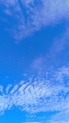 Vibrant Blue Sky with Scattered White Altocumulus Clouds