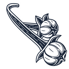 Clove glyph icon on white background. Adobe Illustrator Artwork