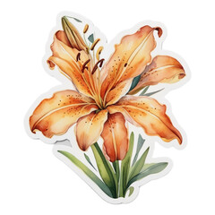orange lily flower