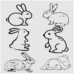 Rabbit vector set new 3