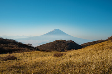 Mount Fuji View from Hakone Mototsumiya Shrine Trail