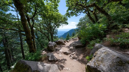 Fototapeta premium Hiking trail leading to breathtaking vista point overlooking valley