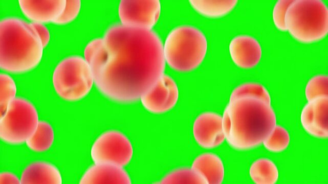 Colorful peaches floating in green screen background create vibrant and lively atmosphere