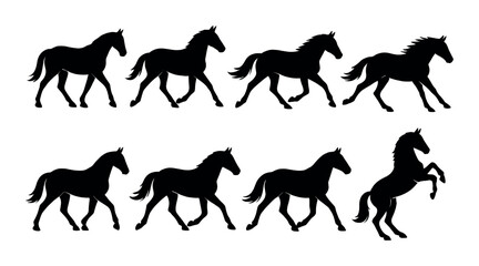 Horse gaits silhouette icons set – simple equine movement and trotting symbols