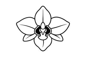 Elegant black and white orchid flower line art illustration