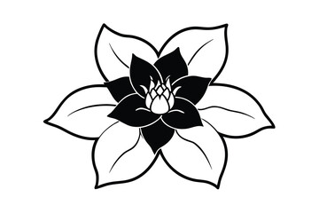 Elegant black and white floral design botanical illustration