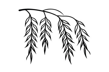 Elegant black willow branch illustration design element © Mamatarani